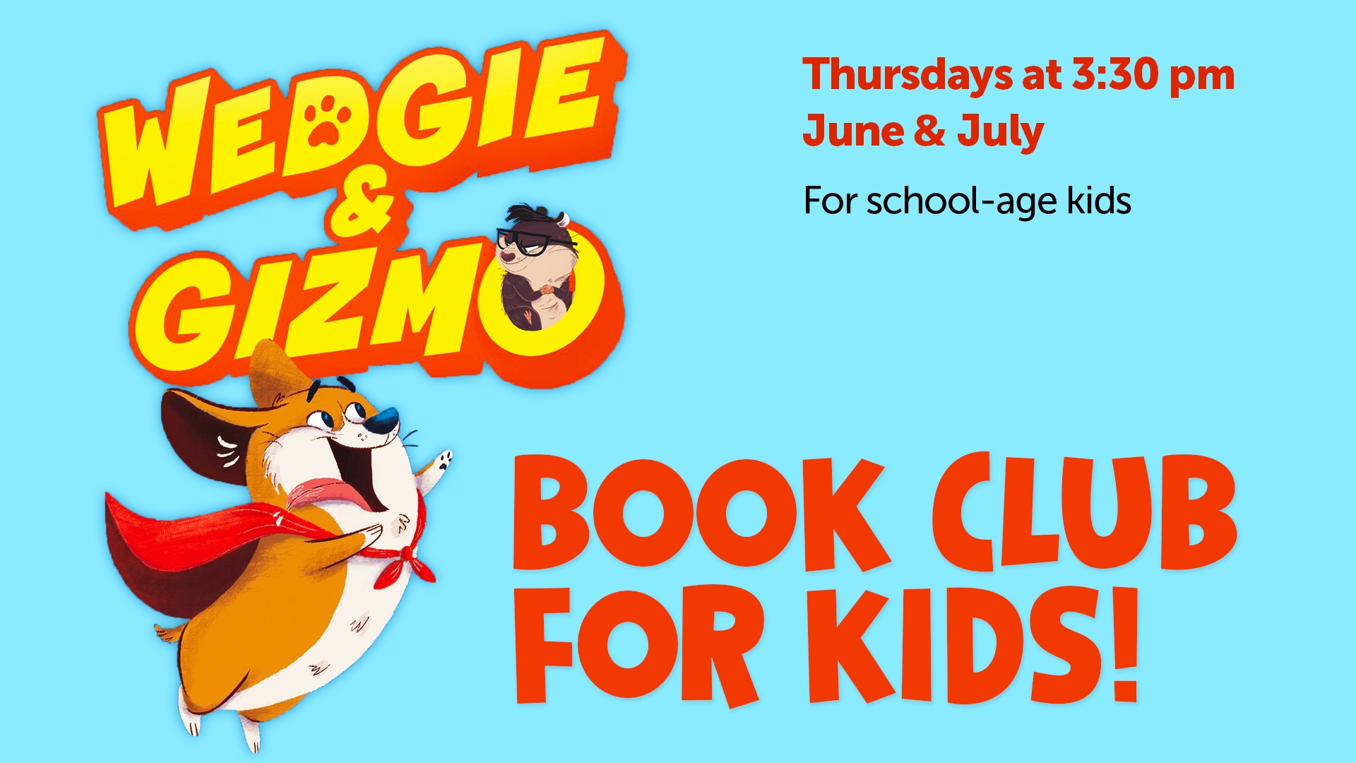 Image for Afternoon Adventures - Wedgie & Gizmo Book Club