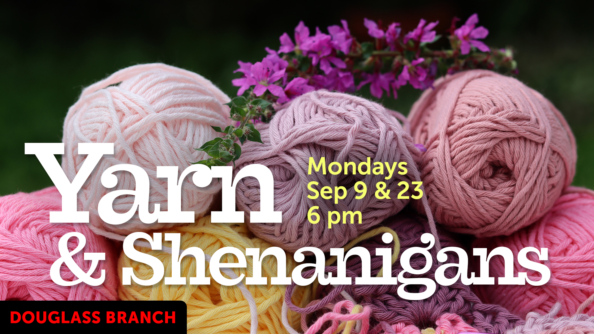 Image for Yarn & Shenanigans