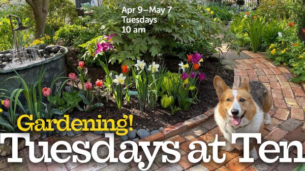 Image for event: Tuesdays at Ten | Gardening