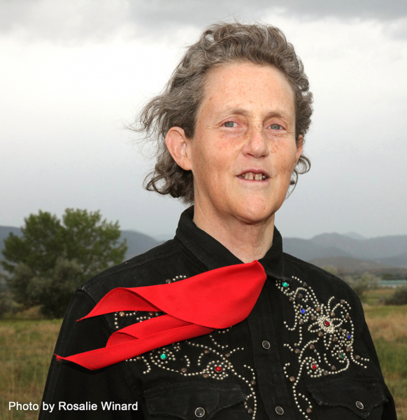 Image for event: Virtual Visit with Dr. Temple Grandin